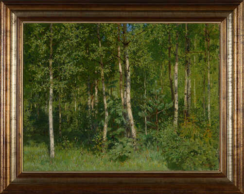 Кугач Юрий Петрович. Березовая роща 